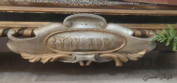 dettaglio_santriphon