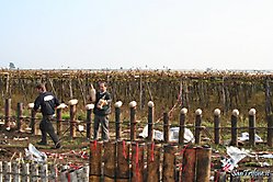 al campo fuochi (2005)