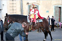 Processione e Luminarie (2008)