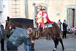 Processione e Luminarie (2008)