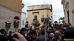 Le foto della Festa (2010)