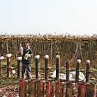 al campo fuochi (2005)